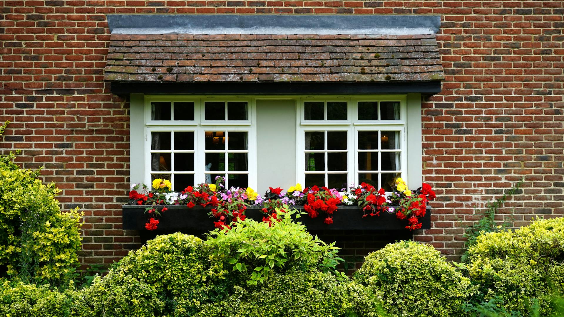 Flower planters in window boxes hedges in front