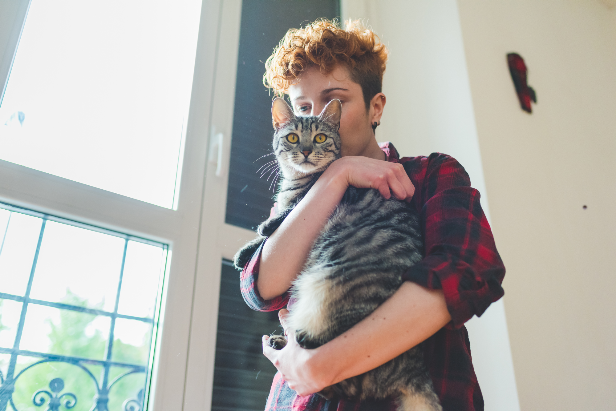 Woman holding a cat