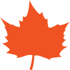 fall leaf image