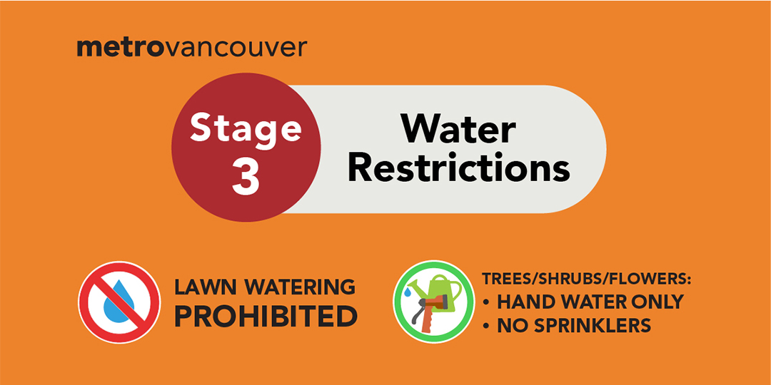 Stage 3 water restrictions. Lawn watering prohibited. Trees/shrubs/flowers: hand water only, no sprinklers.