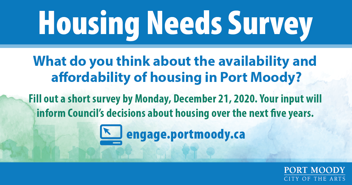 Housing needs survey