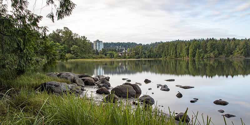 Learn about a proposed update to our Environmentally Sensitive Areas Strategy