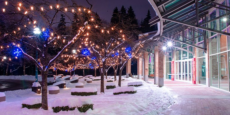 Holiday lights at City Hall