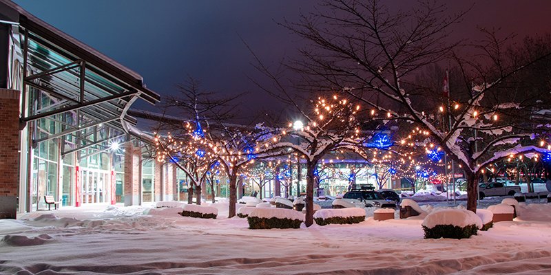 Holiday lights at City Hall