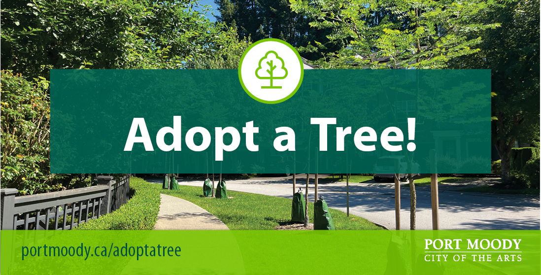 Adopt a Tree! Port moody dot ca slash adopt a tree