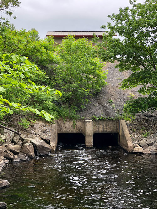 A tall dam with two outlets that have water pouring from them. Rocks line the sides of the dam where it meets the water and trees fill in the space surrounding the dam