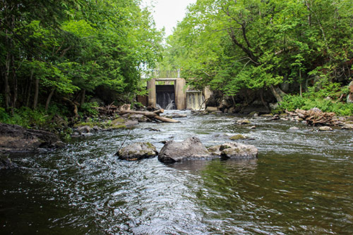 Deloro Dam