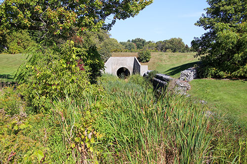 Bloomfield Dam