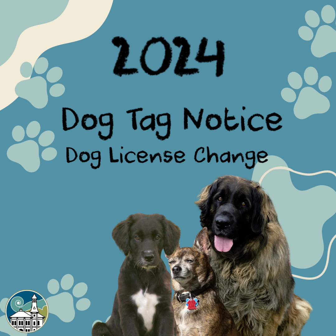 Dog Tag Bulletin