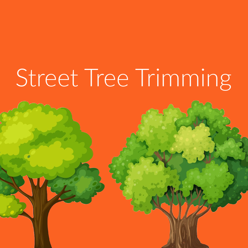 Image of cartoon trees on Orange background Street Tree Trimming