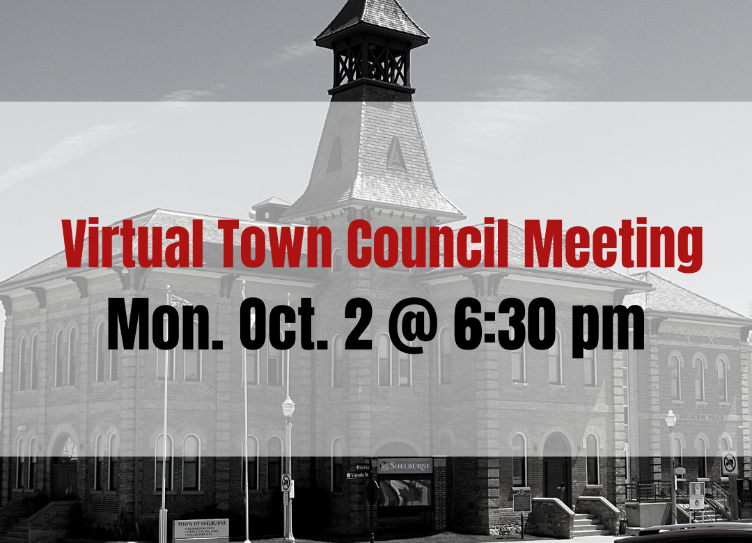 Council Meeting