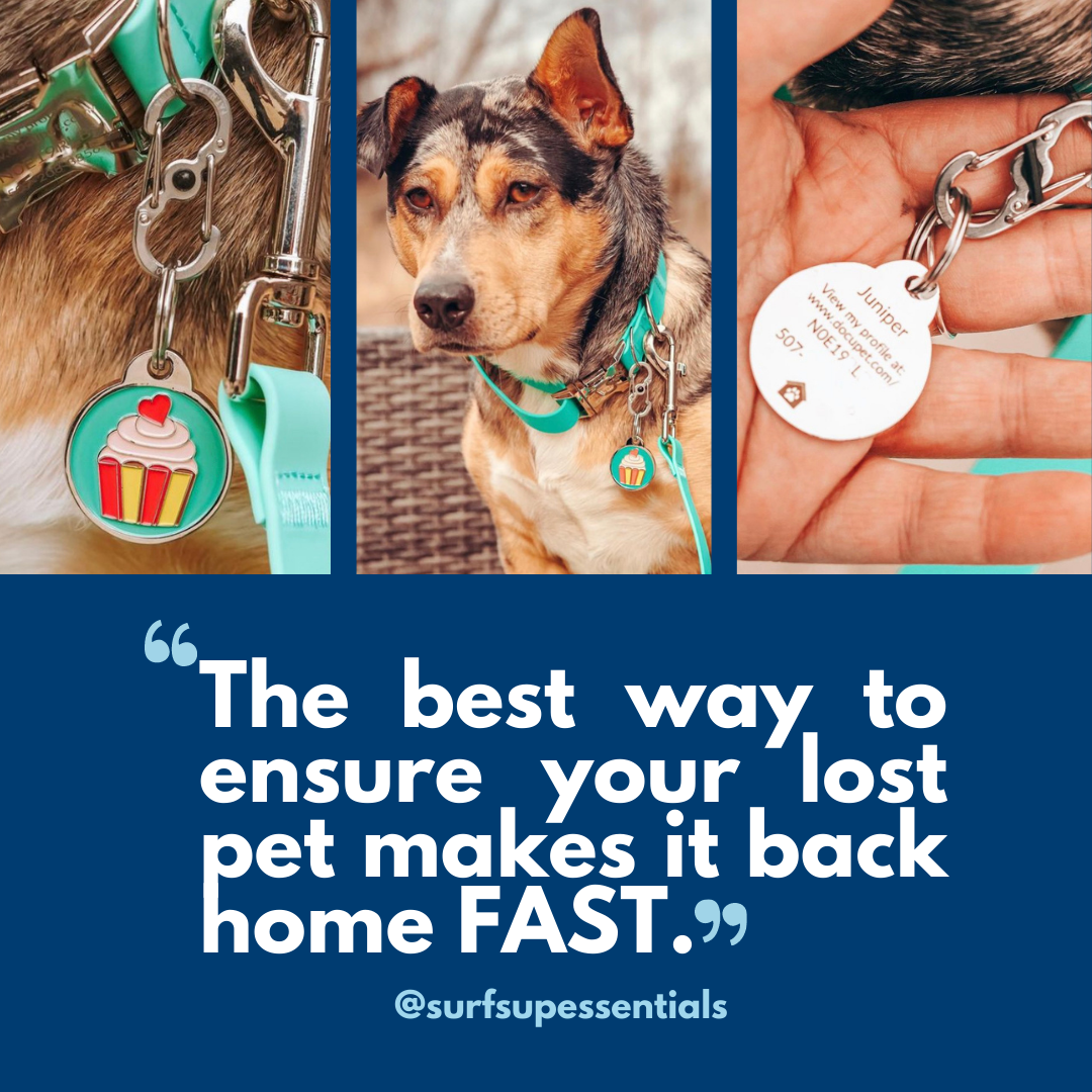 Docupet image: Pet licensing is now easier (and faster) than ever with Docupet