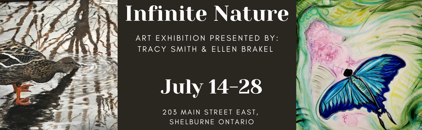 Town of Shelburne Art Gallery: Tracy Smith Ellen Brackle Art