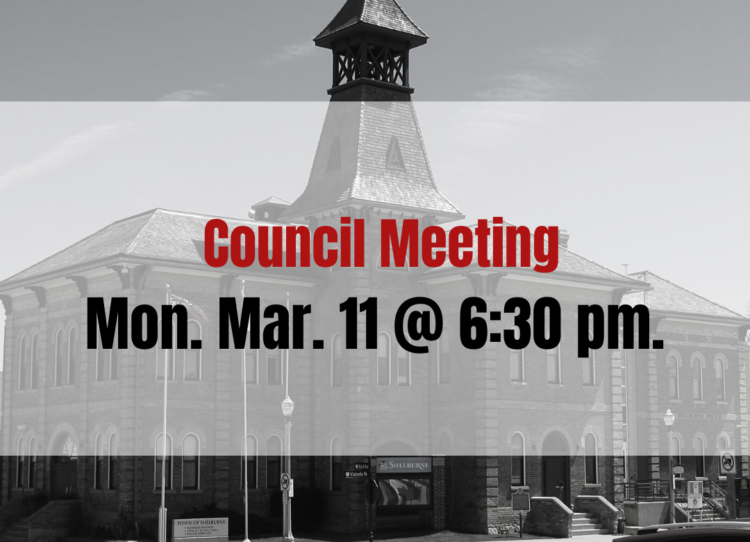 Council Meeting