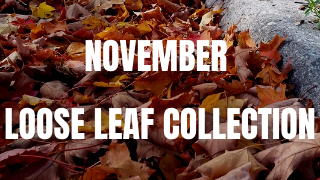 Fall Leaves