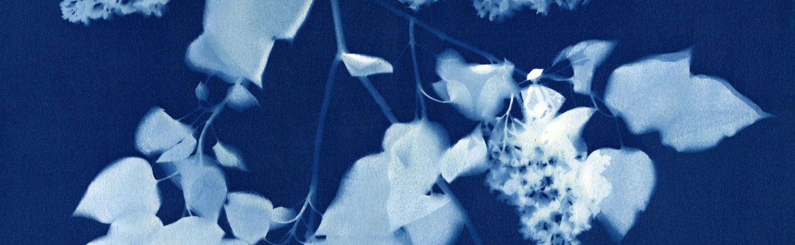 Jo Thomson Art Exhibit