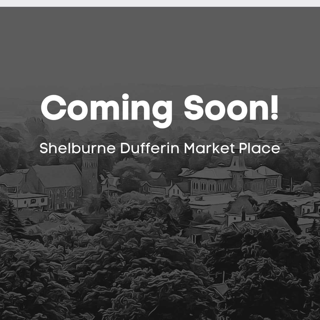 Online Mall coming to Dufferin Shelburne