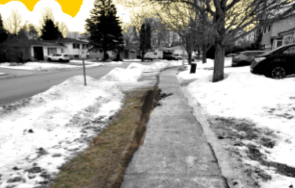 Grass Damage from Snow Plow