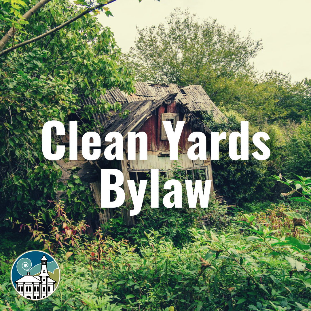 Clean Yards By-law Derelict house