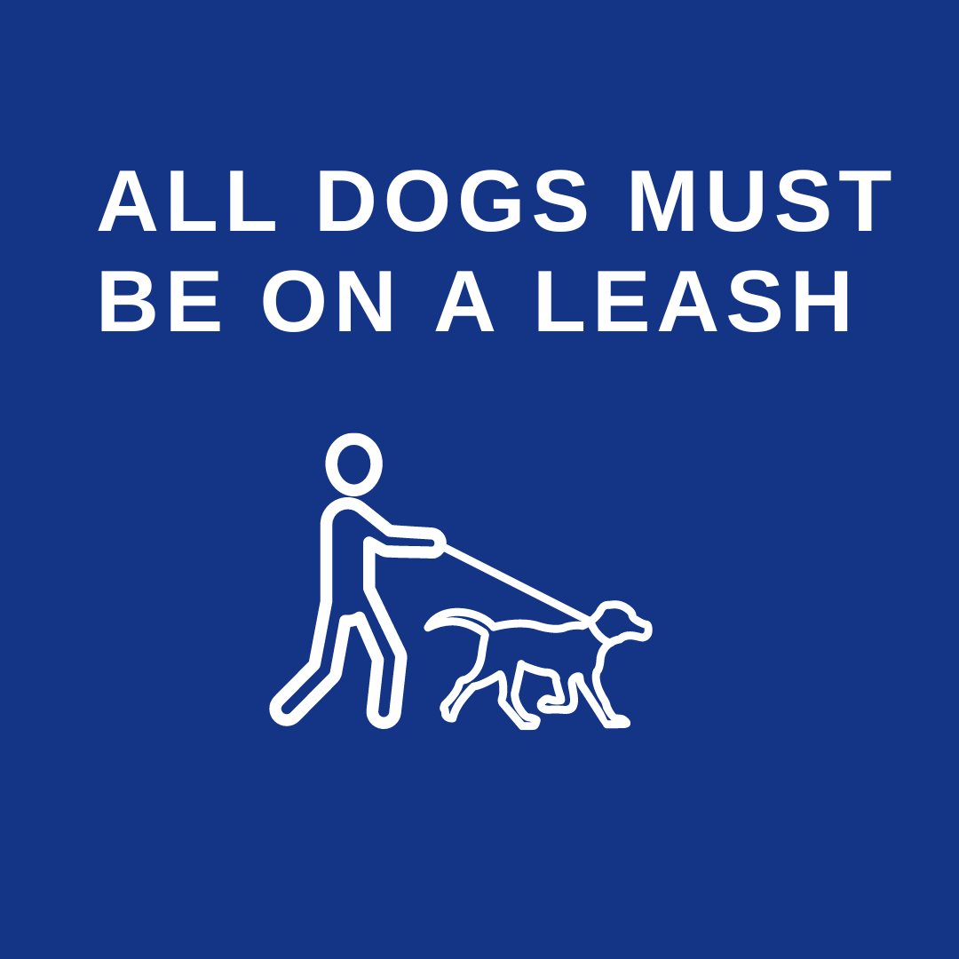 Dogs must be on a leash