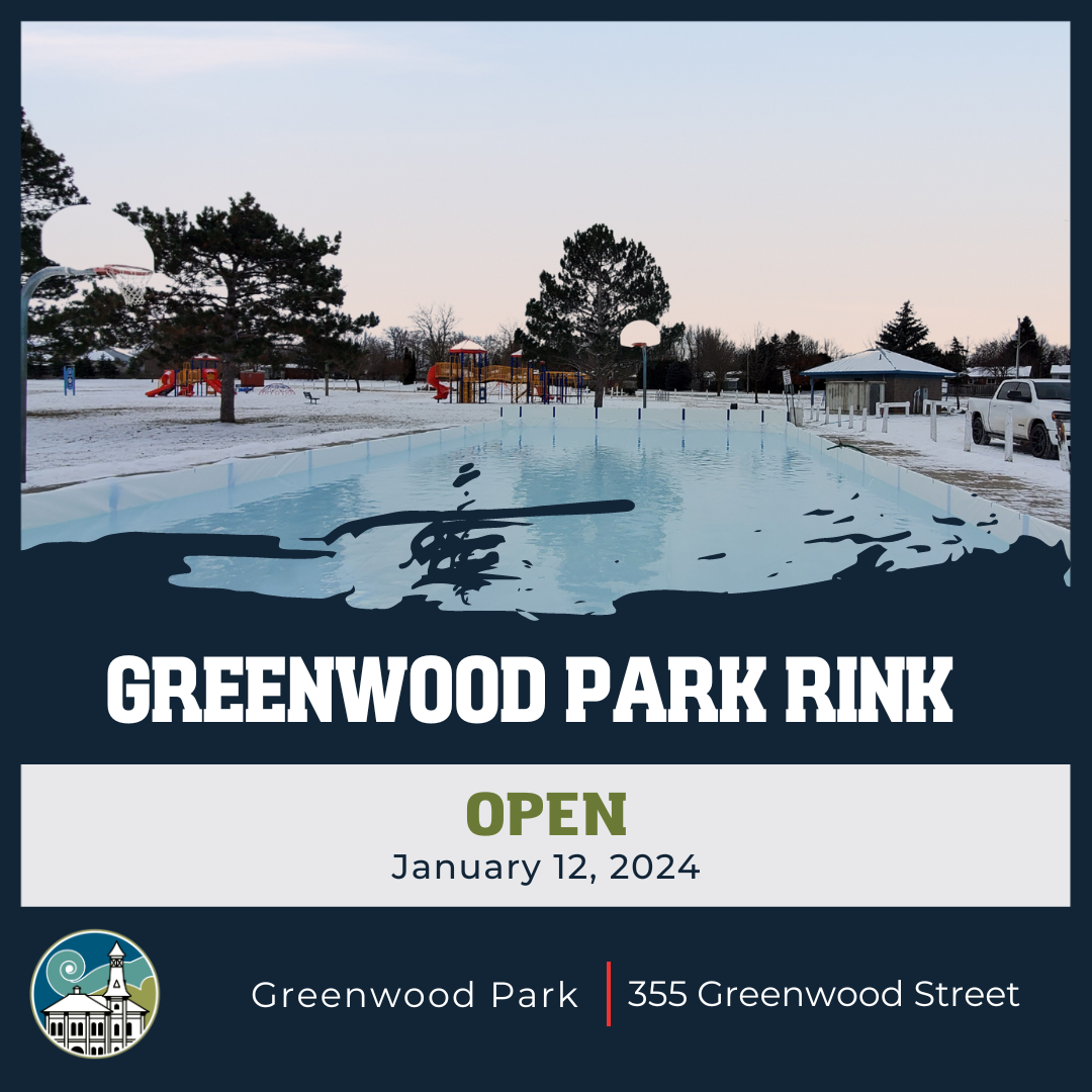 Greenwood park outdoor ice rink open