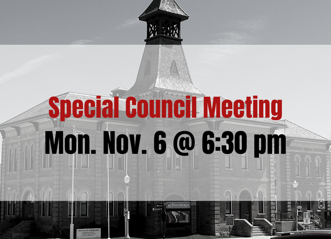 Council Meeting
