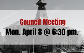 Council Meeting