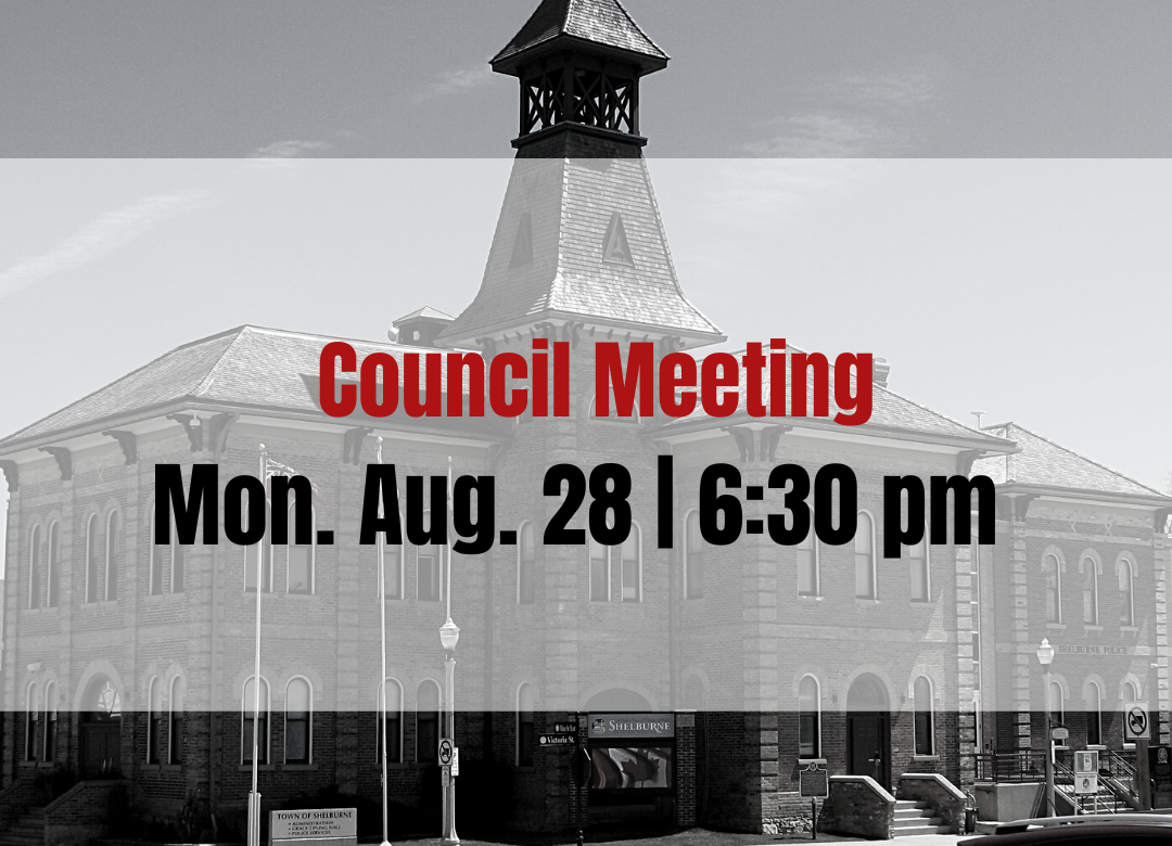 Council Meeting