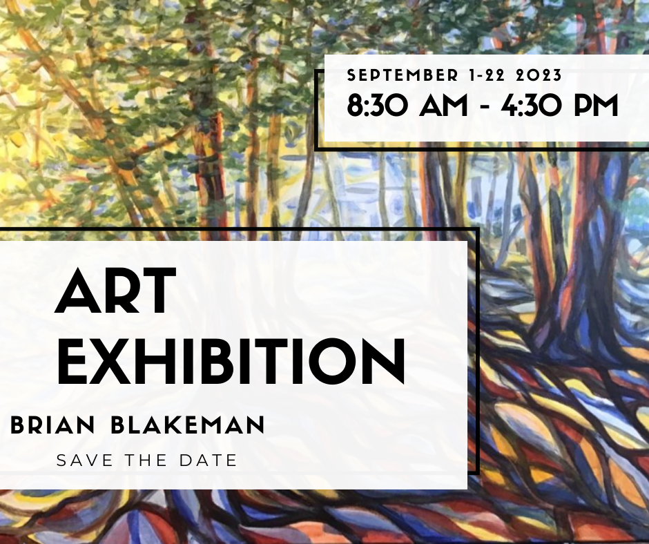 Northern Perspectives by Brian Blakeman