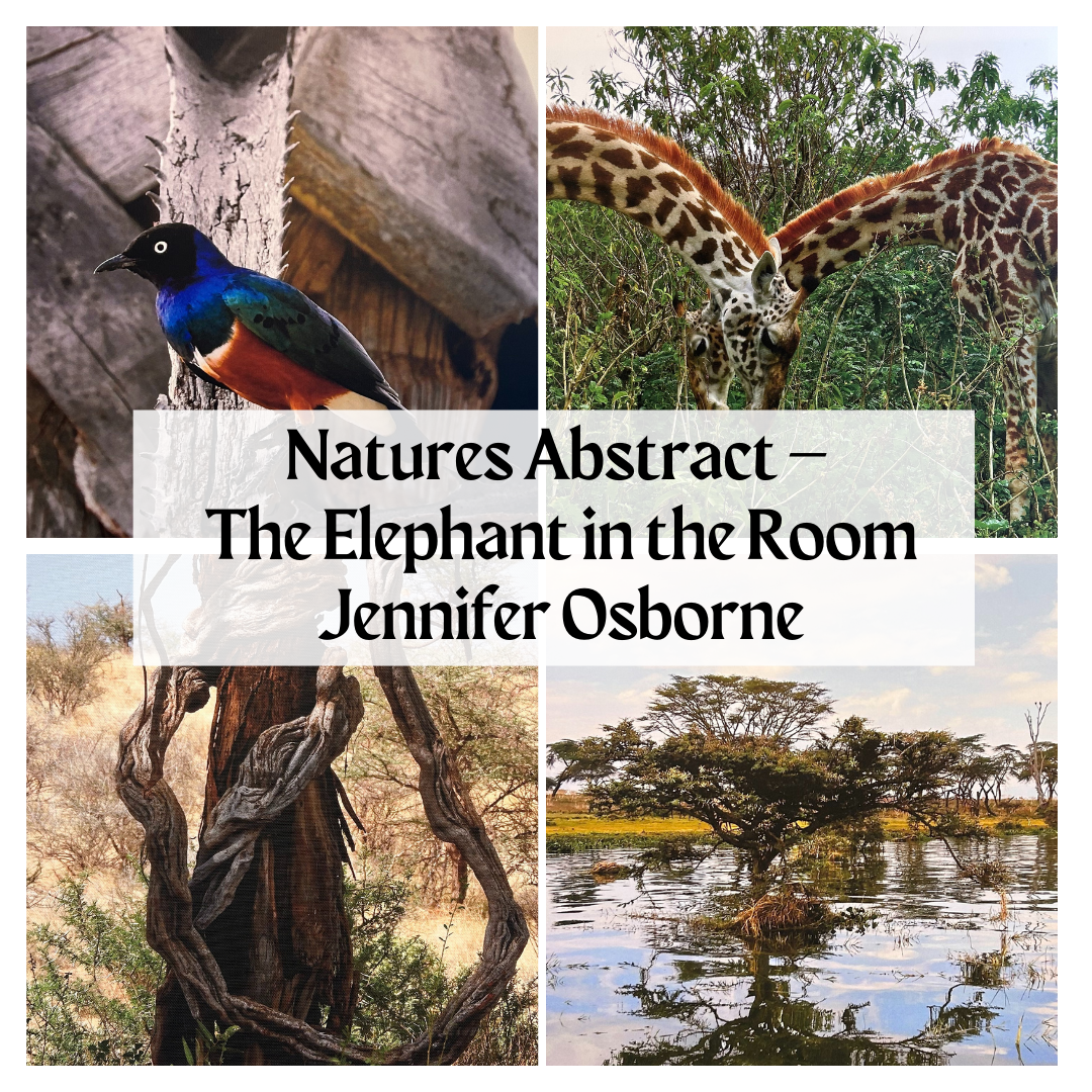 Images from exhibit by Jennifer Osborne