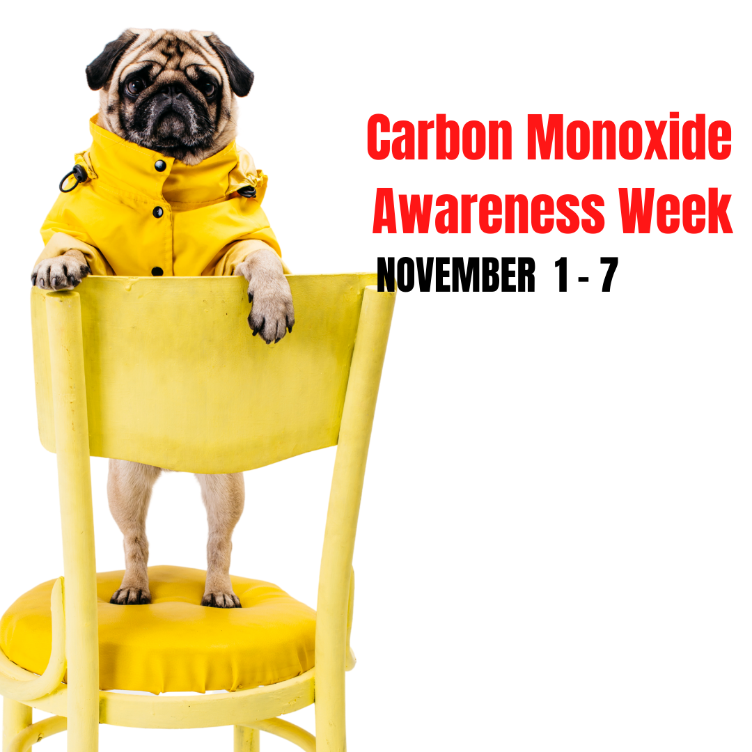 Carbon Monoxide Awareness Week: beat the silent killer