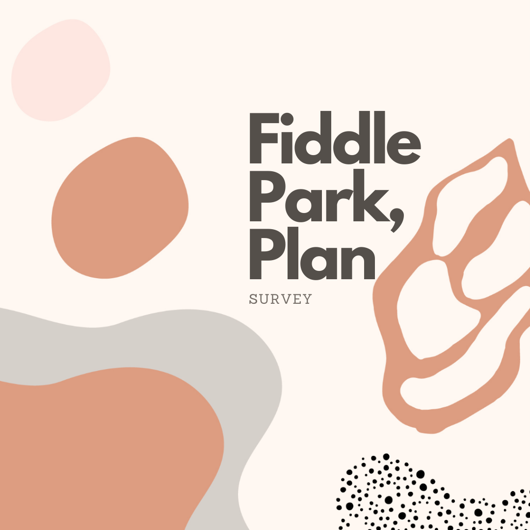 Fiddle Park Plan Survey abstract graphics