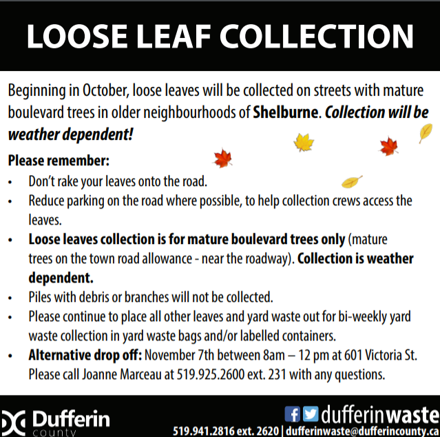 Loose Leaf information as stated on page in flyer form