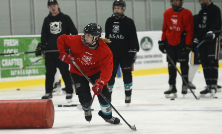Students playing hockey