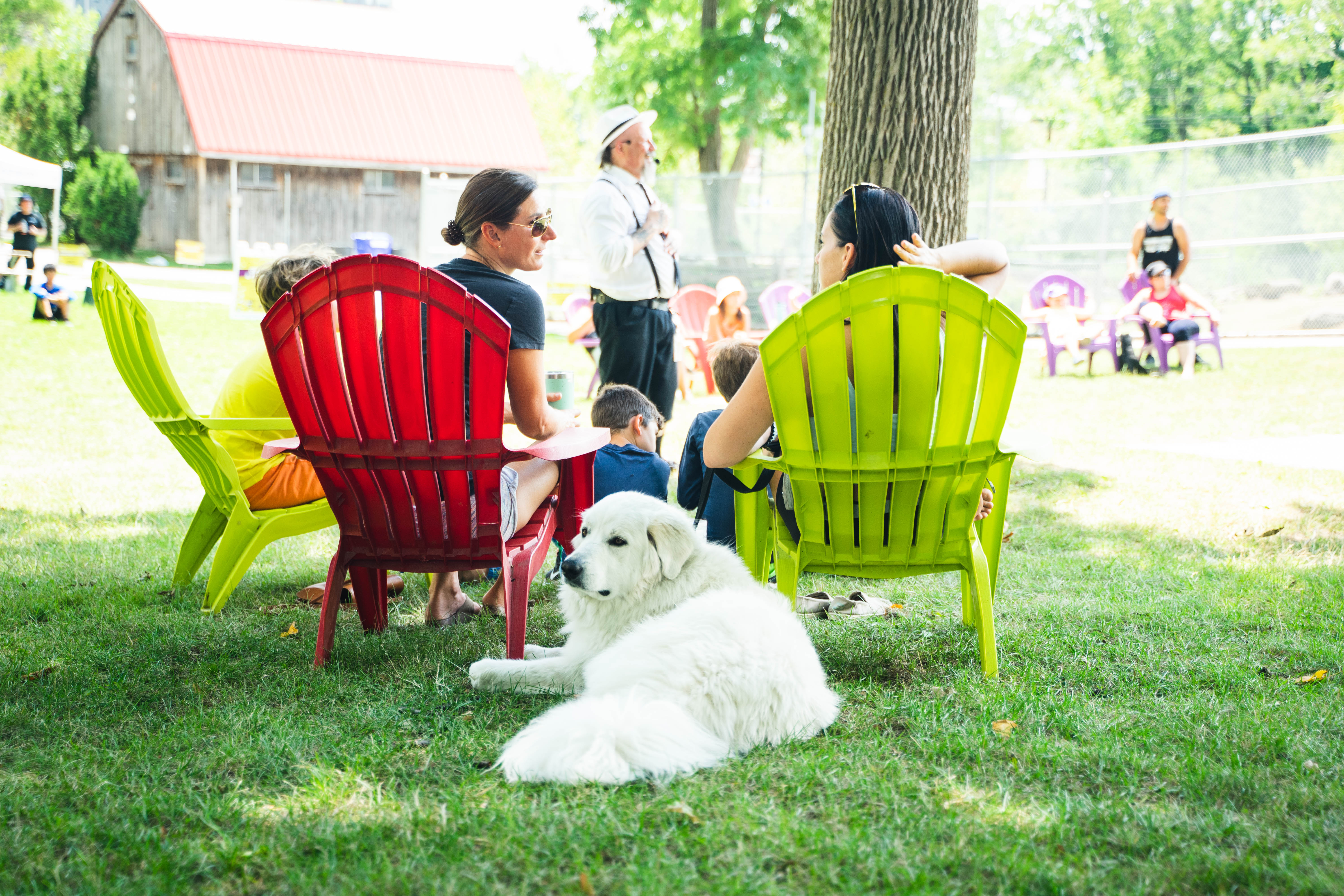 A group of people are sitting on colorful lawn chairs in Waterloo Park with a large white dog lying on the grass nearby.