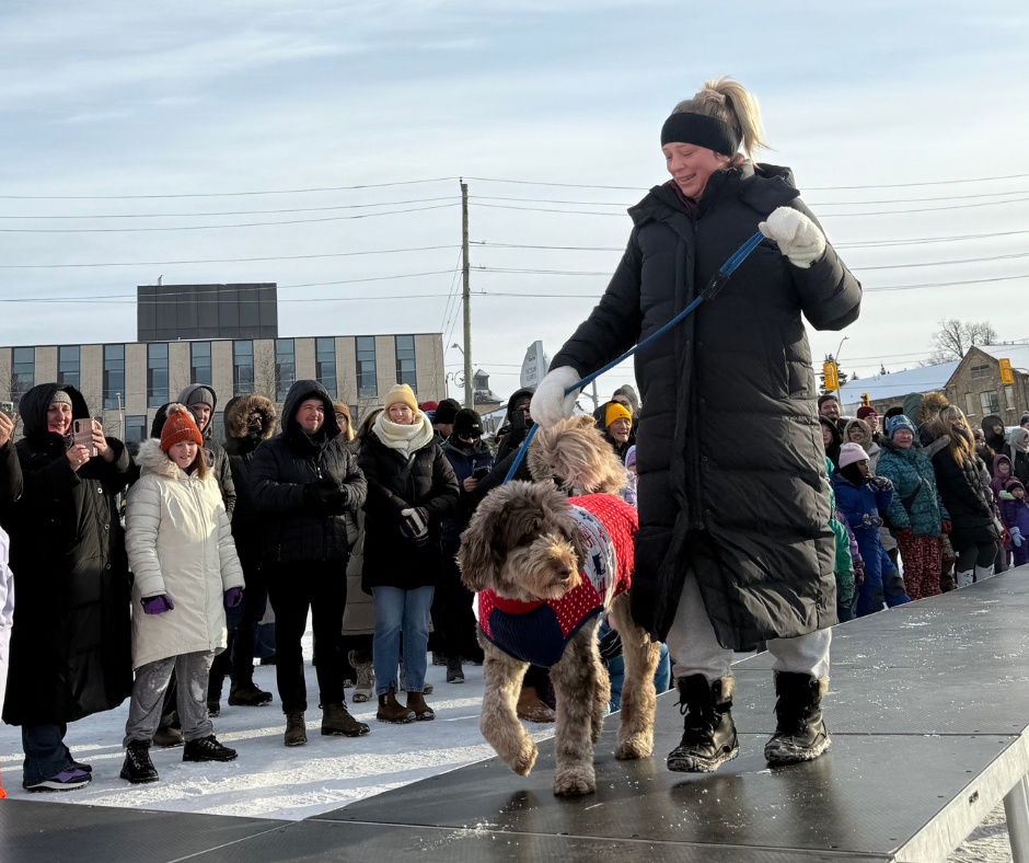 Person walks with their dog who is wearing a red sweater down an outdoor catwalk, with a crowd observing around them under a blue sky.